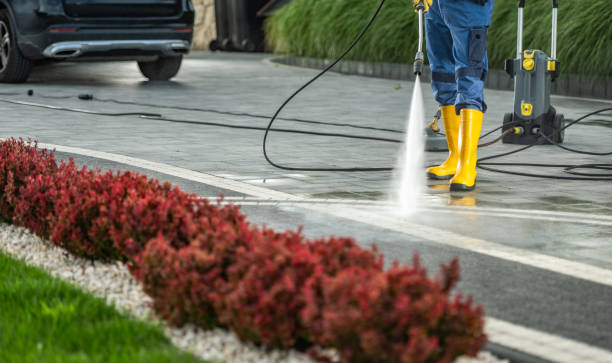Best Driveway Pressure Washing  in Antlers, OK
